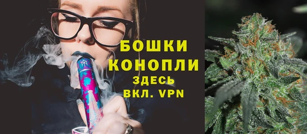 ешки Мегион