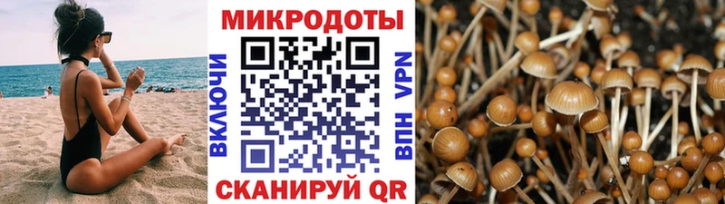 где можно купить   сайты даркнета какой сайт  Псилоцибиновые грибы Magic Shrooms  Новошахтинск 
