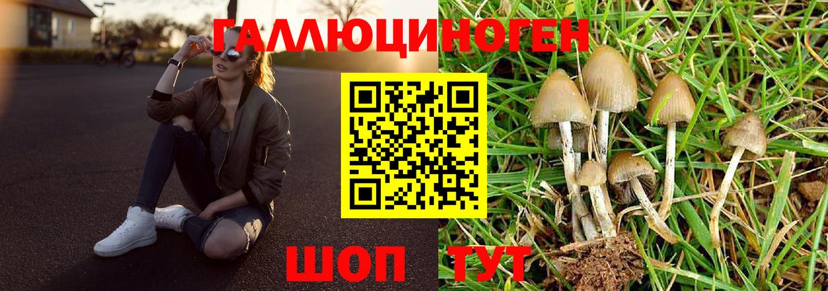 Новошахтинск  Галлюциногенные грибы MAGIC MUSHROOMS  Вход с VPN 